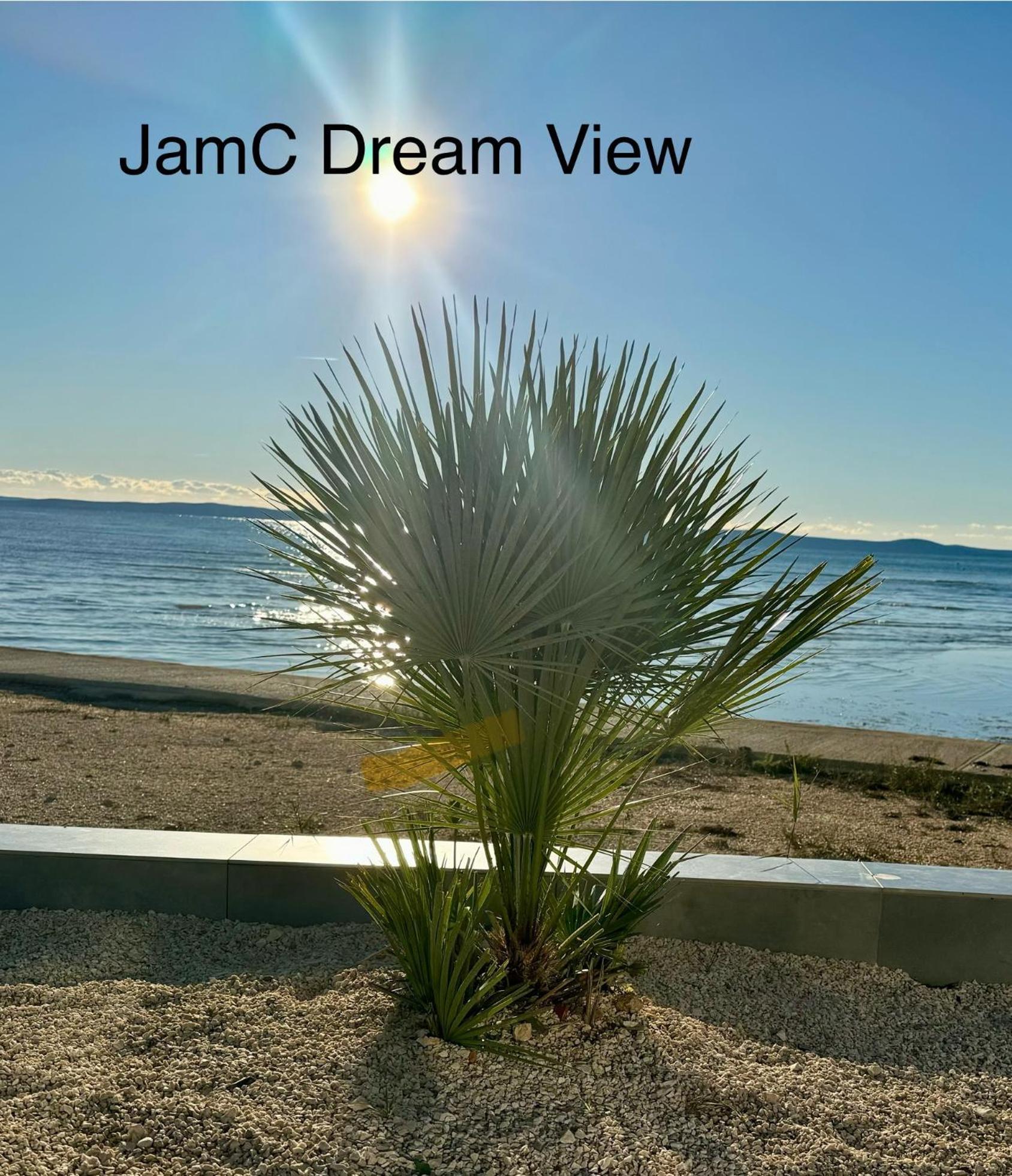 Jamc Dream Familientraum Direkt Am Meer Mit Beheiztem Pool Privlaka  Eksteriør billede